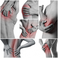 gallery/fotolia_51965502_xs